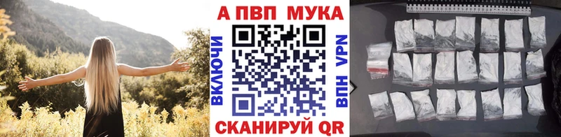 где купить наркоту  МЕГА ONION  A PVP СК КРИС  Ишим 