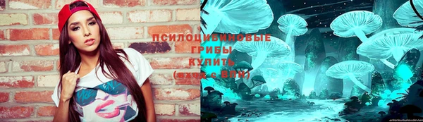 Альфа ПВП Приозерск