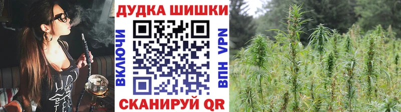 Шишки марихуана гибрид  где купить   Ишим 